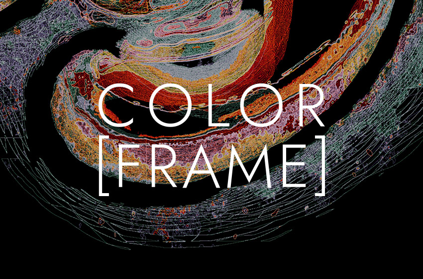 exposition COLOR[FRAME]
