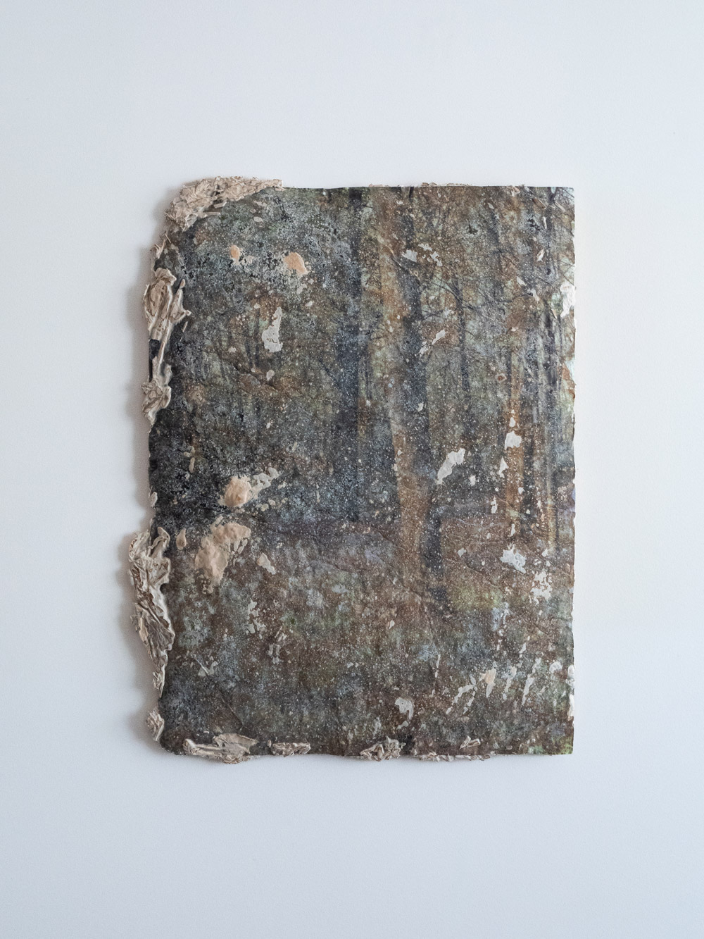 Benoît-Lefeuvre—Photographie-vernaculaire-imprimée-sur-papier-Hahnemühle,-colonisée-par-du-mycélium-cultivé-sur-copeaux-de-chanvre-et-résidus-agricoles,-30-x-40-cm,-2025