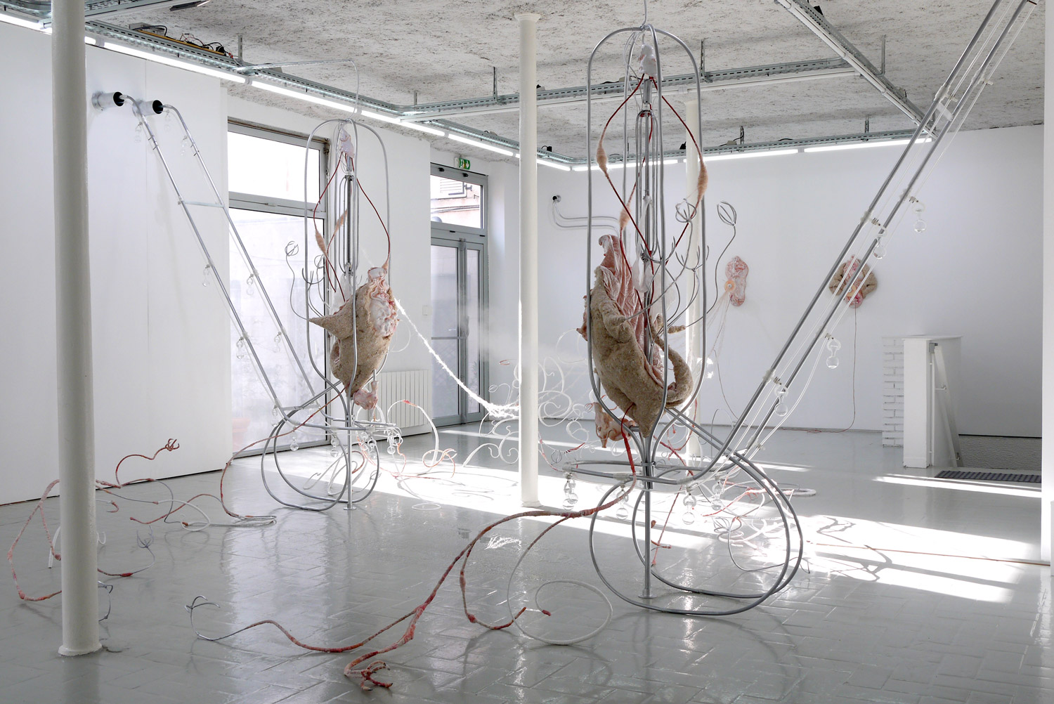 The╠üore╠Çme-du-Spasme—Anais-GAUTHIER